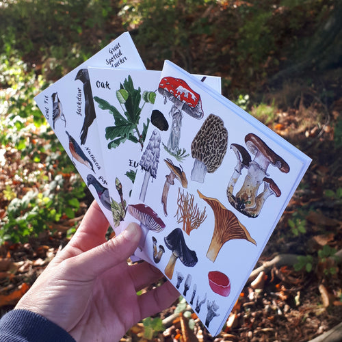 Fungi, bird and tree notebooks by Alice Draws the Line