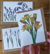 Spring Flowers Collection 3 greeting cards