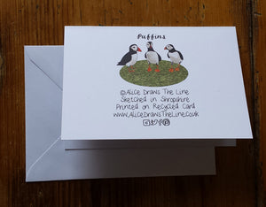 Seaside selection of cards by Alice Draws The Line, set of 3 greeting cards, printed on recycled card and blank inside